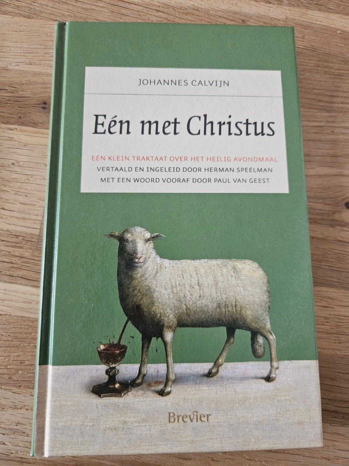 Paul Geest - Een met Christus, Ophalen of Verzenden, Zo goed als nieuw, Paul Geest; Jean Calvin