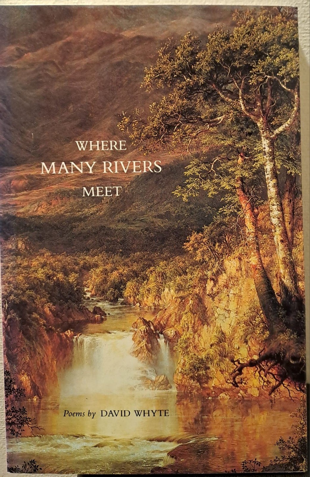 Where Many Rivers Meet - Poëzie van David Whyte, Verzenden, Zo goed als nieuw, David Whyte, Eén auteur