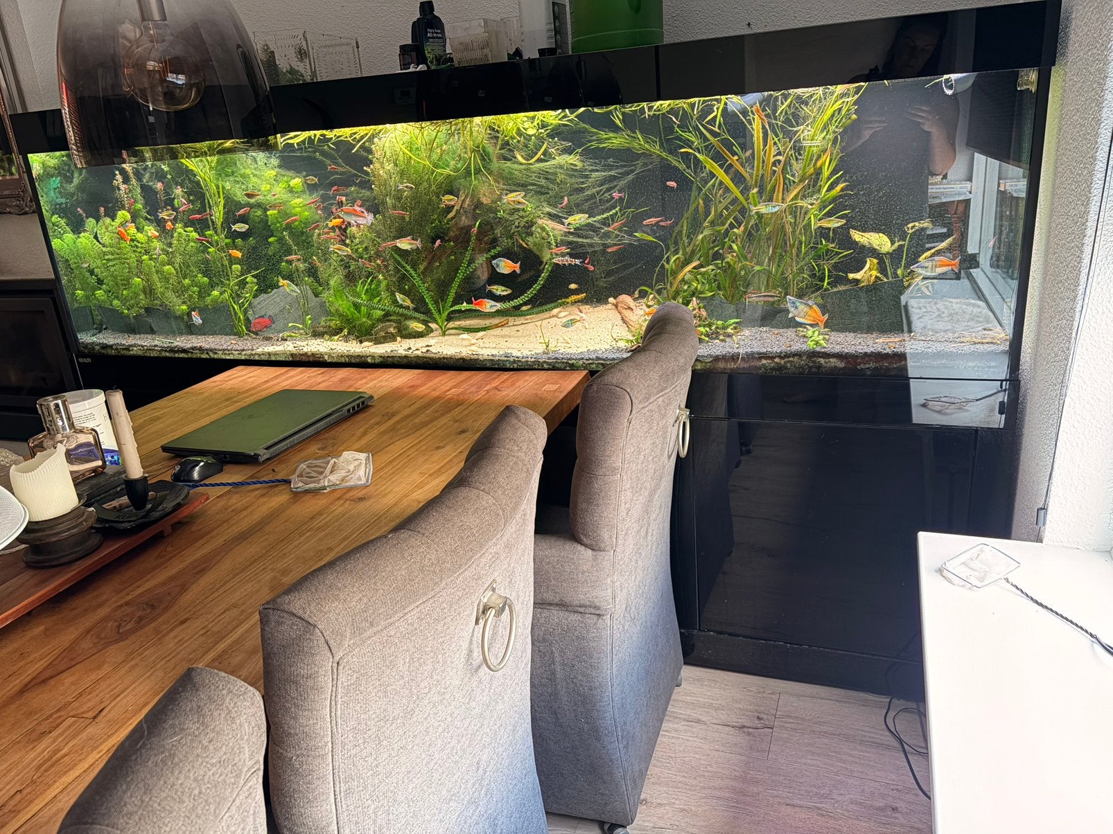 Aquarium, Ophalen, Inclusief vissen, Zo goed als nieuw, Gevuld zoetwateraquarium