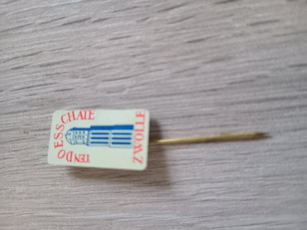 Zwolle speldje Ten Doesschate, Ophalen of Verzenden, Gebruikt