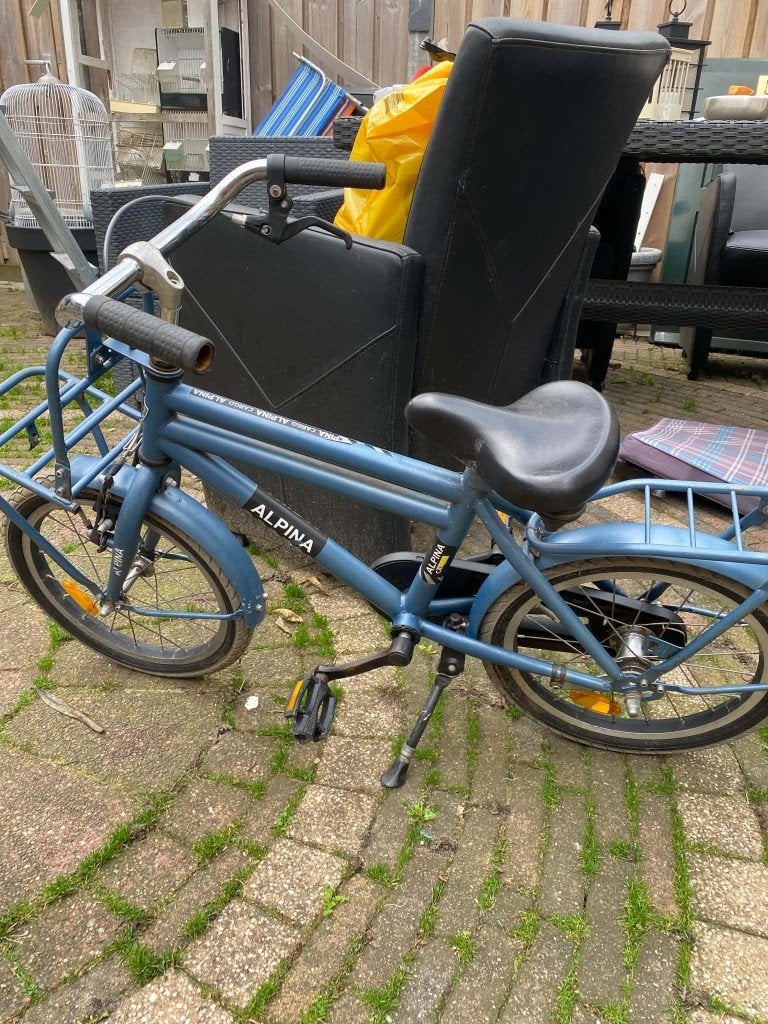 fietsje, Fietsen en Brommers, Ophalen, Terugtraprem, Alpina, 16 tot 20 inch