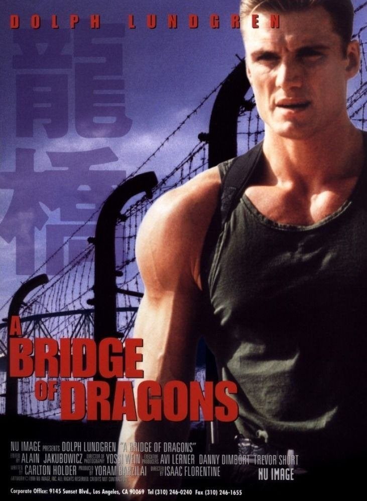 DVD - Bridge of dragons (1999), Vanaf 16 jaar, Ophalen of Verzenden, Zo goed als nieuw, Actiethriller