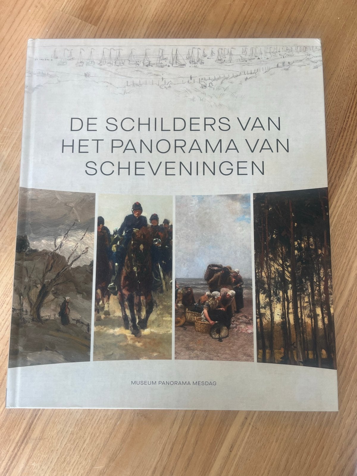 De Schilders van het Panorama van Scheveningen - Boek, Boeken, Ophalen of Verzenden, Zo goed als nieuw, Schilder- en Tekenkunst