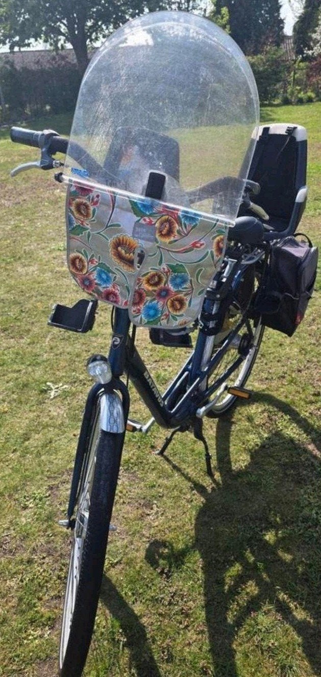 Moederfiets Batavus Mambo Deluxe, Ophalen of Verzenden, Gebruikt