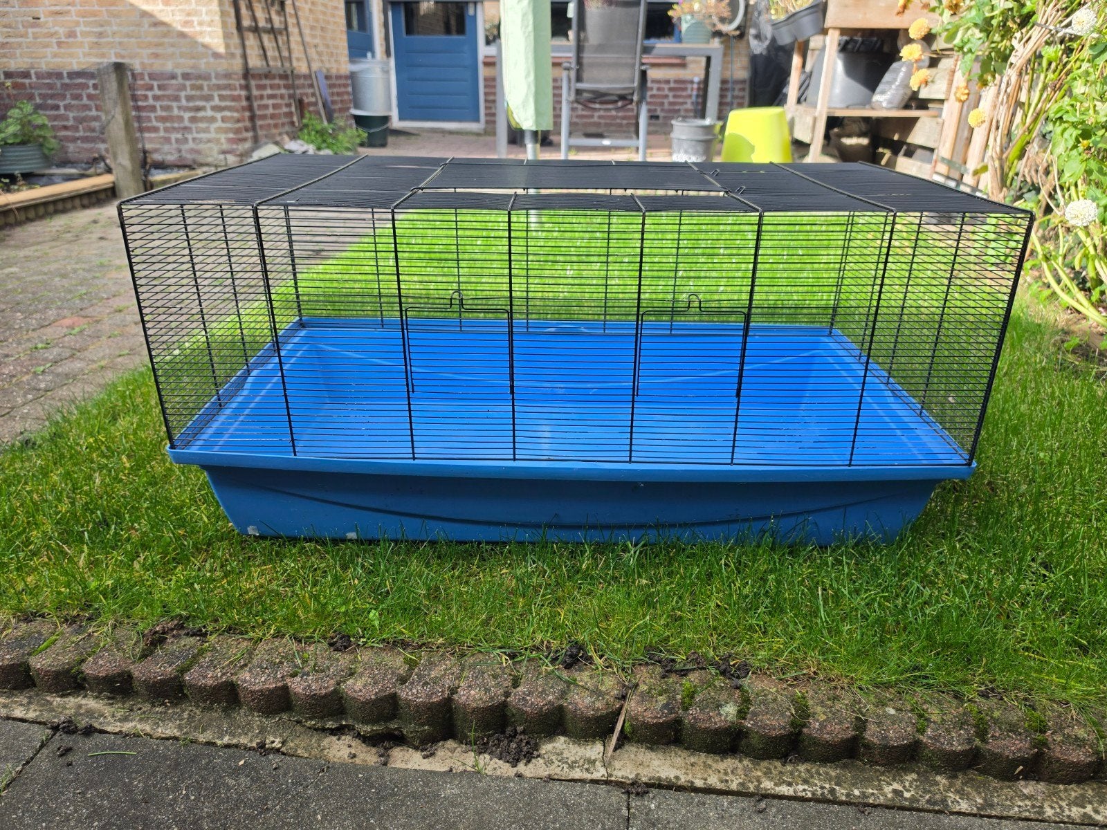 Skyline Barney knaagdierhok, Dieren en Toebehoren, Kooi, Gebruikt, Hamster, 75 tot 110 cm