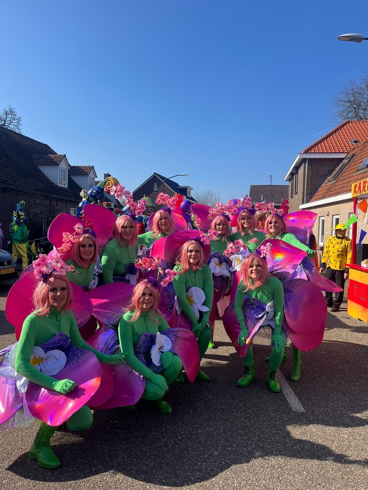 Carnavalskleding Orchideen loopgroep Groen/Roze, Kleding | Dames, Carnaval, Zo goed als nieuw, Kleding, Ophalen