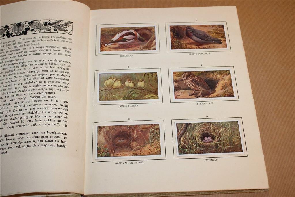 Blonde Duinen — Jac. P. Thijsse [Compleet] 1911, Boeken, Prentenboeken en Plaatjesalbums, Ophalen of Verzenden, Gelezen