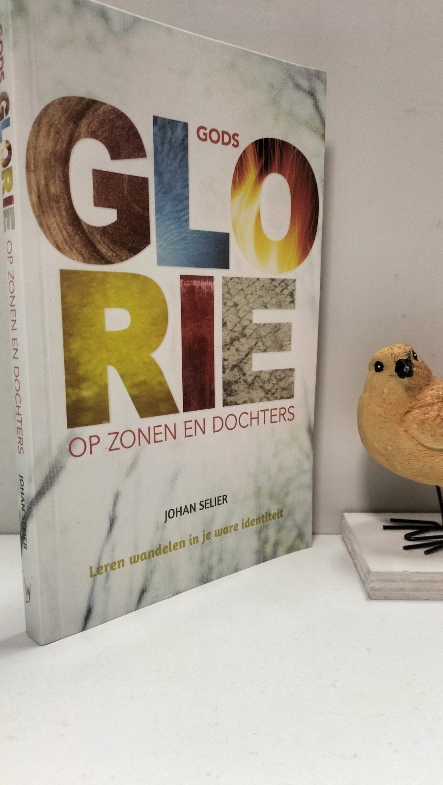 Selier, Johan; Gods glorie op zonen en dochters, Ophalen of Verzenden, Gelezen, Christendom | Protestants