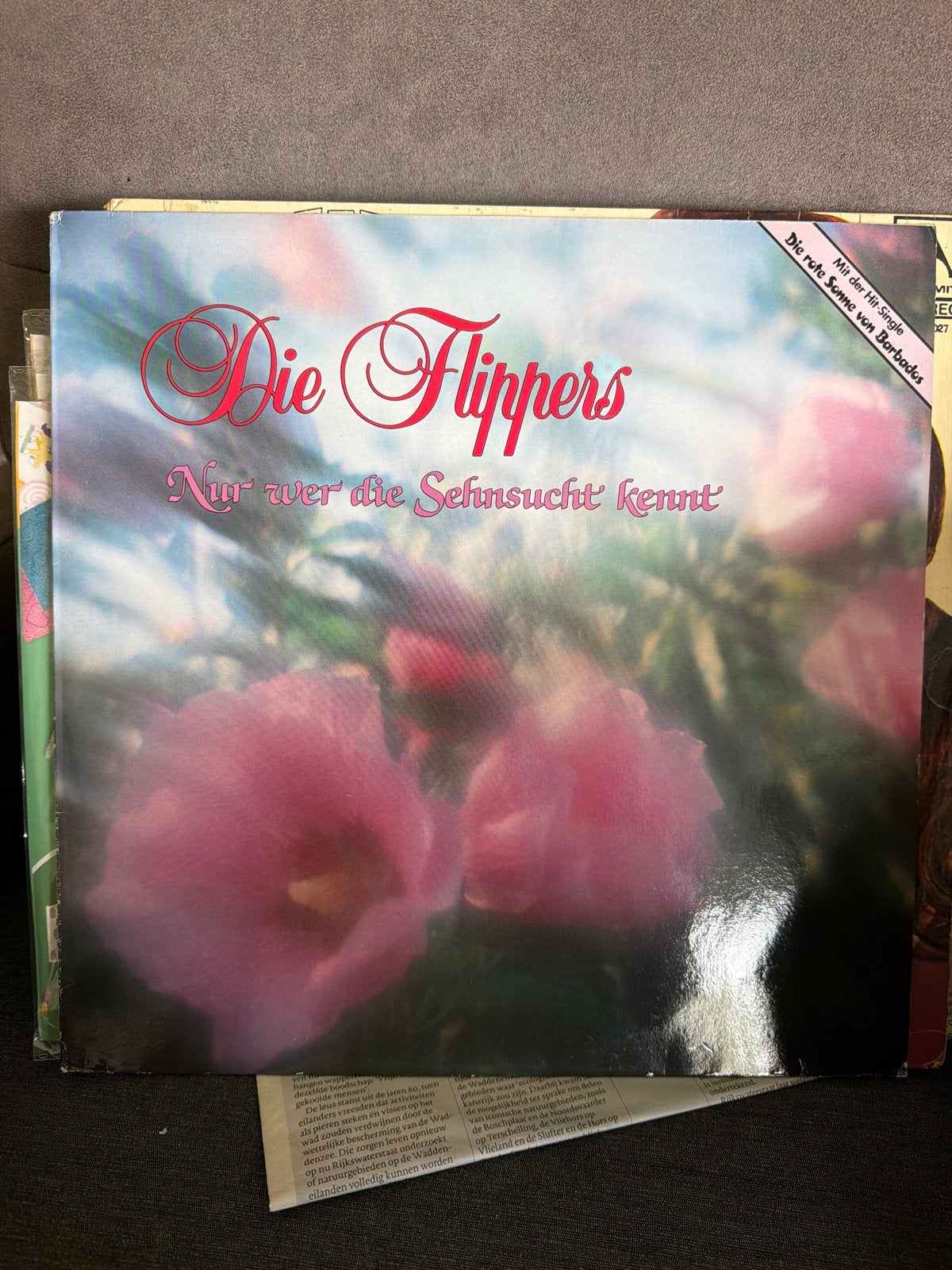 3.  Die Flippers - Nur wer die Sehnsucht kennt LP, Ophalen of Verzenden, Gebruikt, 12 inch, LP