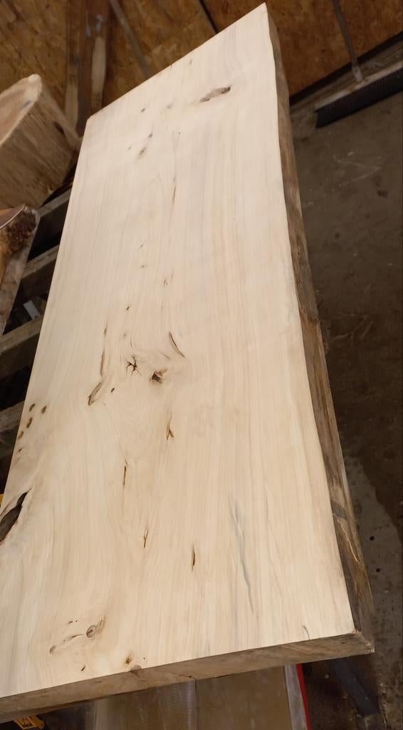 Boomstamplank: wastafelblad,bureaublad, wandplank, vensterb, Ophalen, Nieuw, 200 tot 250 cm, Plank