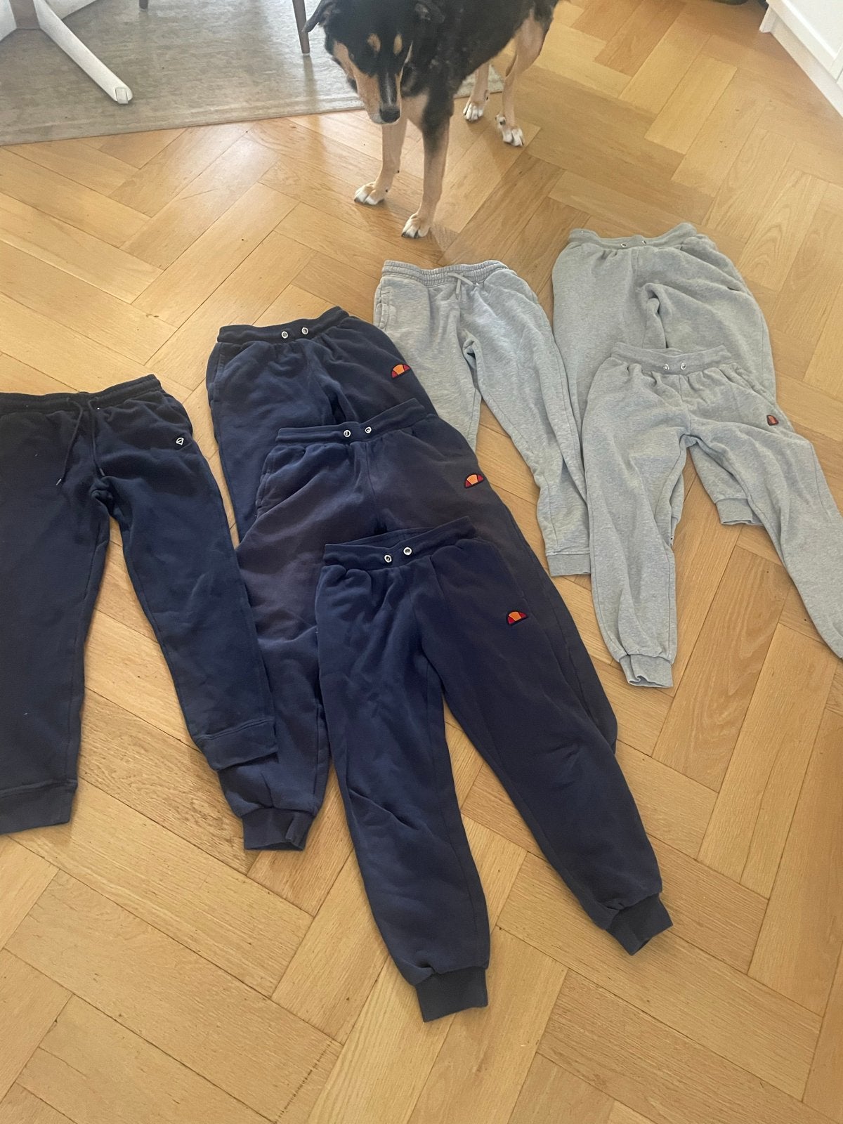 Ellesse joggingbroeken - Set van 7 stuks, Ophalen of Verzenden, Gebruikt, Jongen of Meisje, Broek