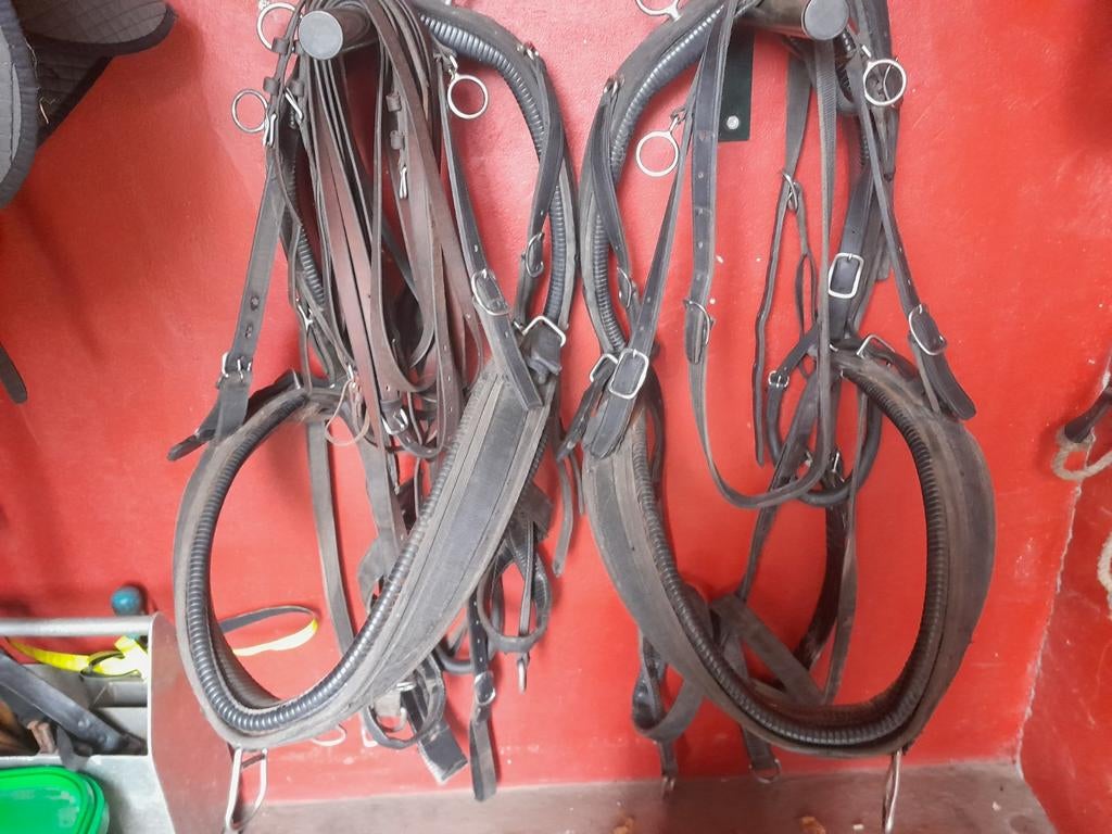 Mooie wagens en 2 span tuig., Ophalen of Verzenden