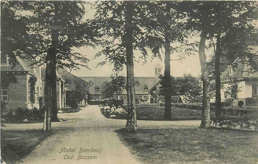 300-408-031 Bussum Boerderij Oud Bussum, Verzenden, Voor 1920, Noord-Holland