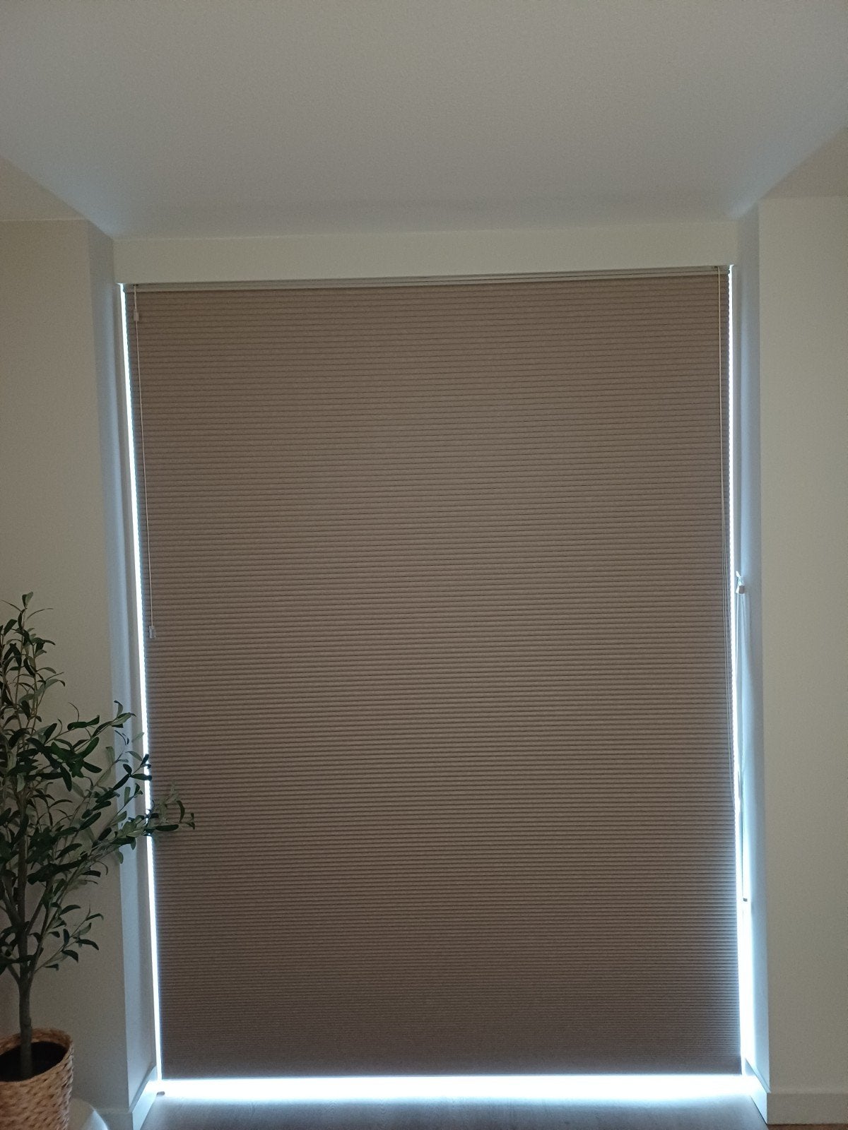 2x Plisségordijn Energy van Veneta. Nieuw, Ophalen, Gordijn, Polyester