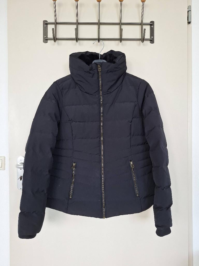 Nieuw gewatteerd winterjack M, Kleding | Dames, Jassen | Winter, Nieuw, Maat 38/40 (M), Zwart, Ophalen of Verzenden