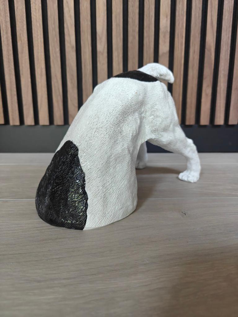 Jack Russel met kop in de grond. Hond, Ophalen of Verzenden, Nieuw, Dier