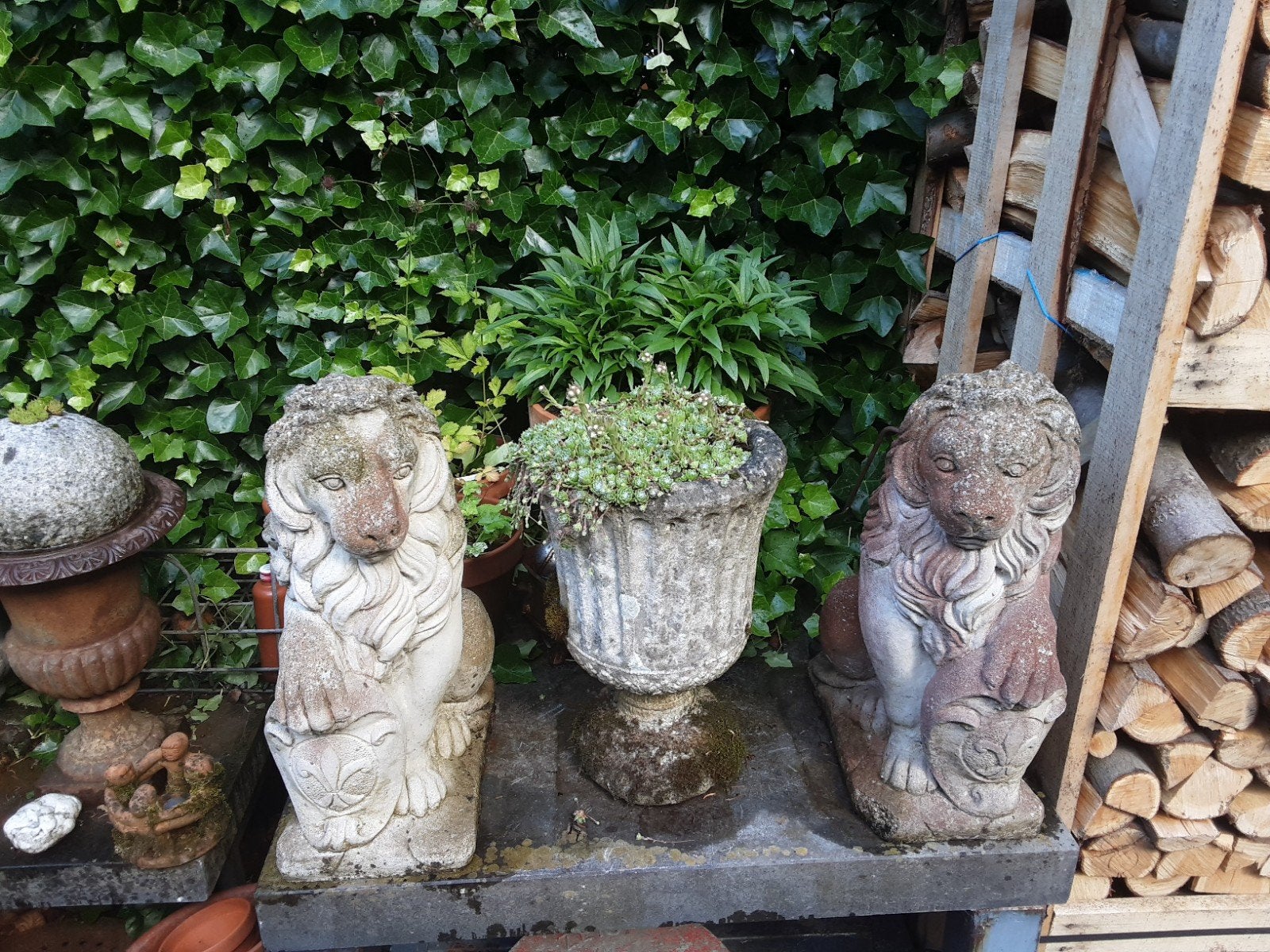 2 leeuwen tuinbeelden, Ophalen