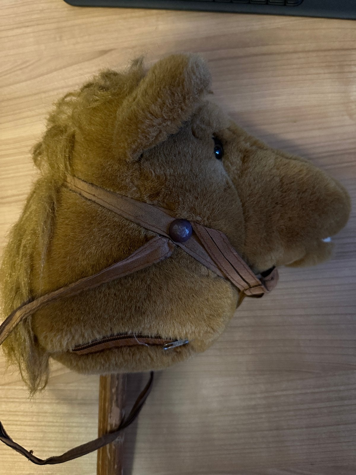 Houten stokpaardje met geluid, Ophalen of Verzenden, Gebruikt, Jongen of Meisje