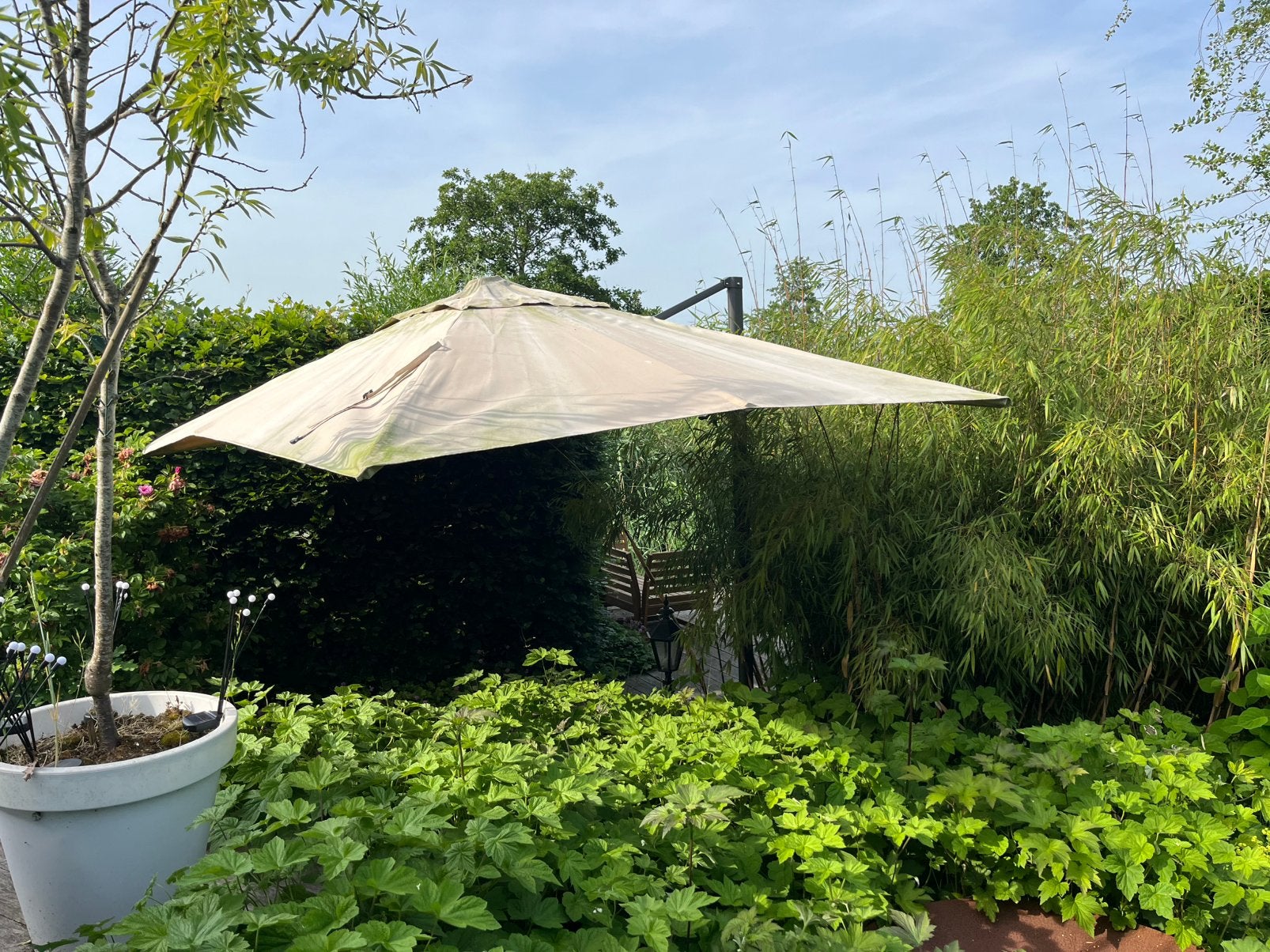 Gratis vierkante parasol, Ophalen, Gebruikt, 3 tot 4 meter, Parasolvoet