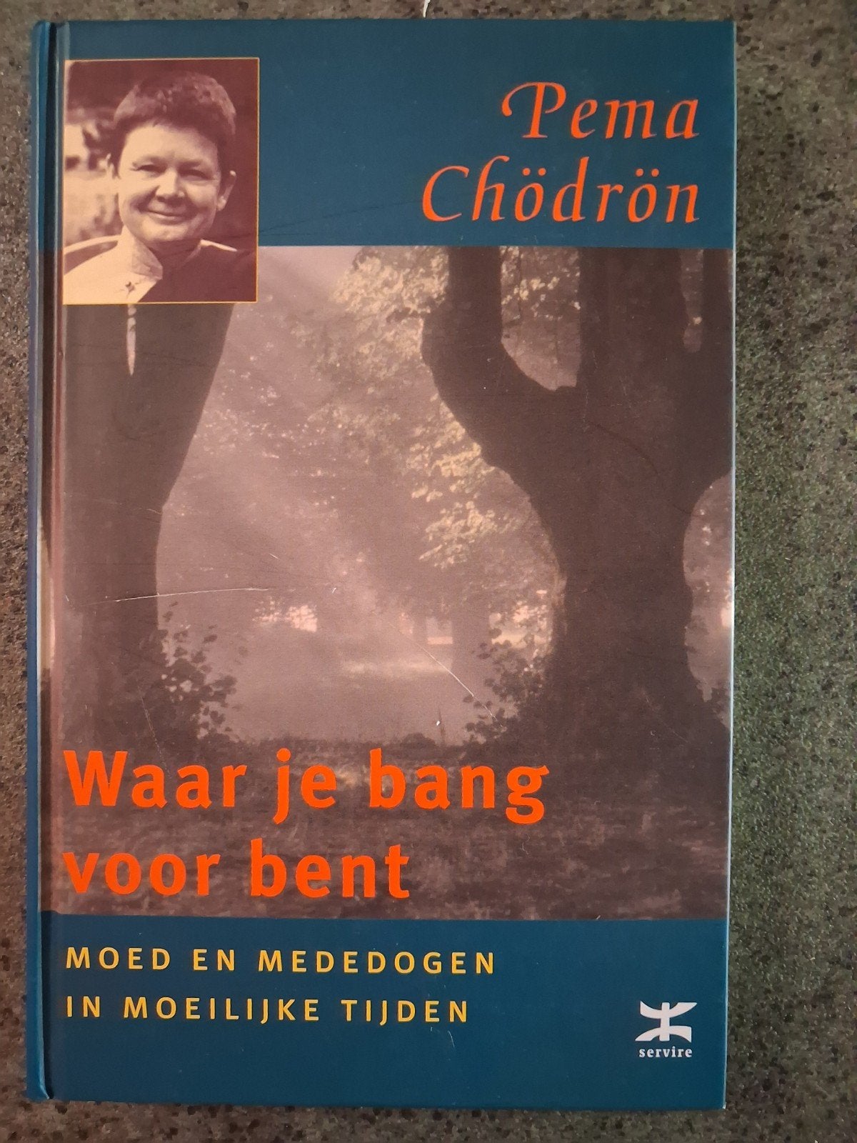 Pema Chodron - Waar je bang voor bent, Boeken, Ophalen of Verzenden, Zo goed als nieuw, Praktische filosofie, Pema Chodron