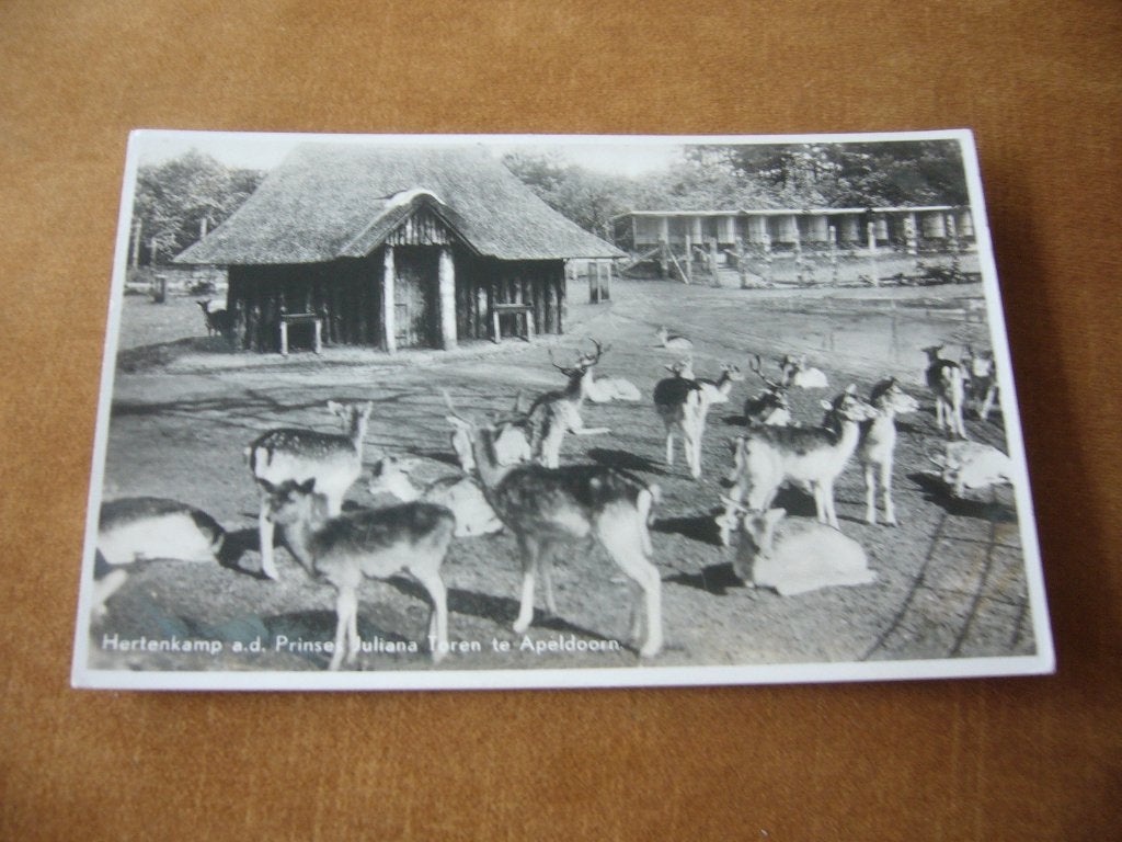 APELDOORN  =  HERTENKAMP A.D. PRINSES JULIANA TOREN 1939, Ophalen of Verzenden, 1920 tot 1940, Gelopen, Gelderland