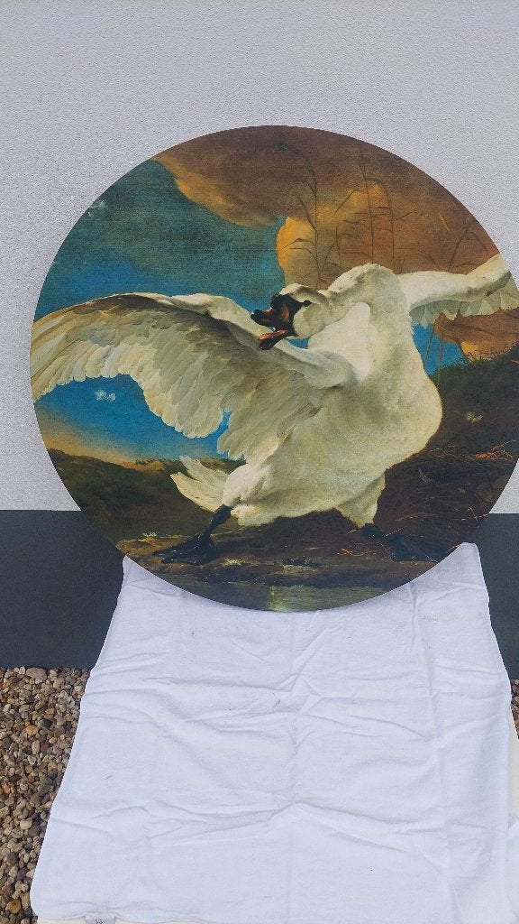 Schilderij van De bedreigde zwaan van Jan Asselijn, Antiek en Kunst, Kunst | Schilderijen | Klassiek, Ophalen