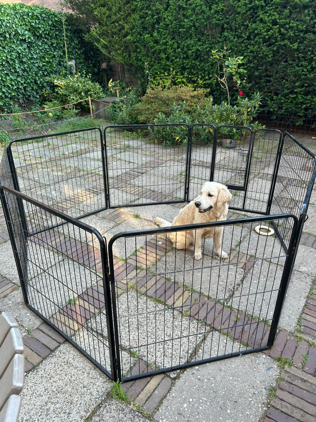 Puppy Ren 80cm hoog, Ophalen, Gebruikt