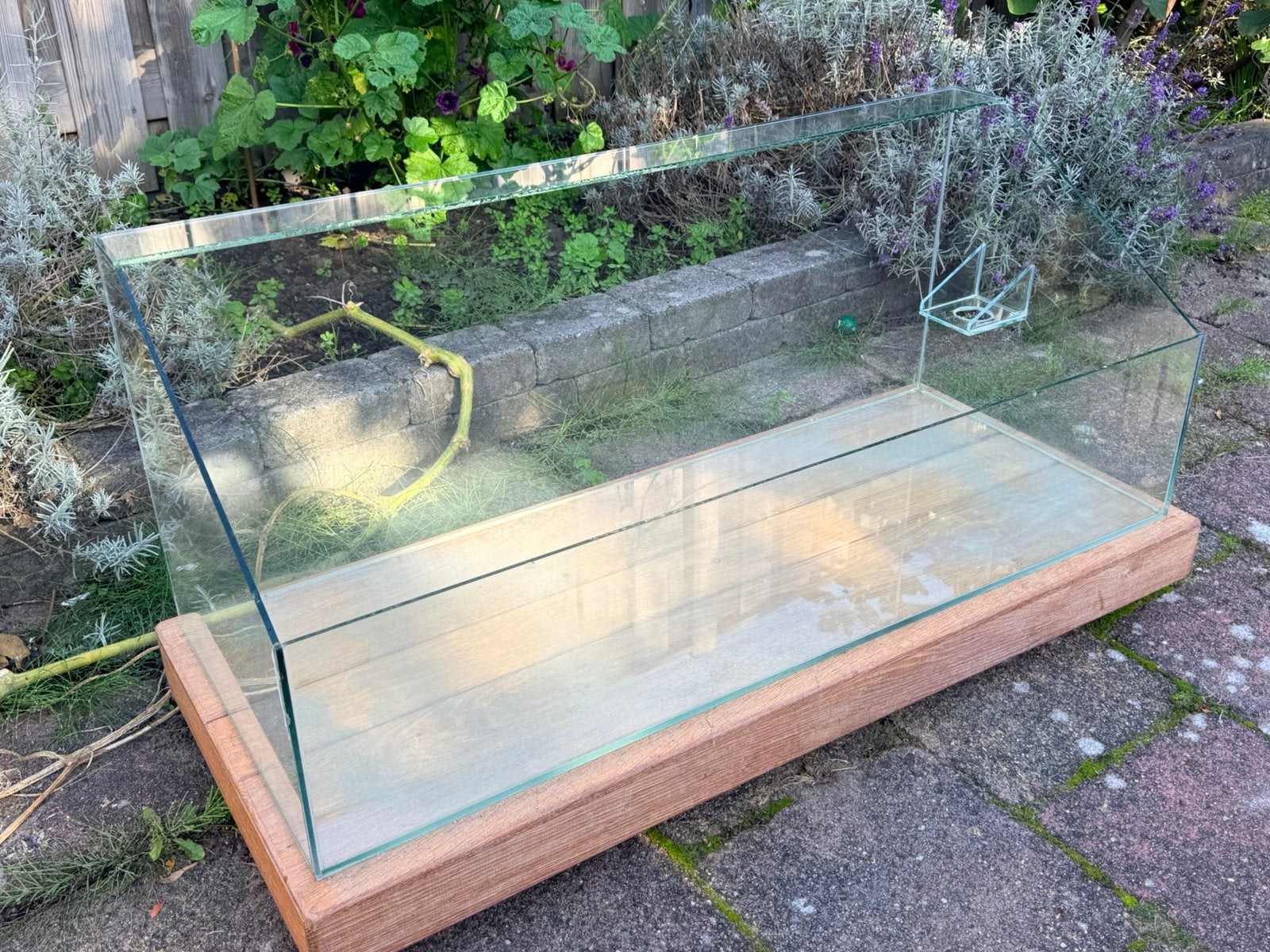 Cavia verblijf, op maat gemaakt van glas, Gebruikt, Hok, 75 tot 110 cm, Cavia