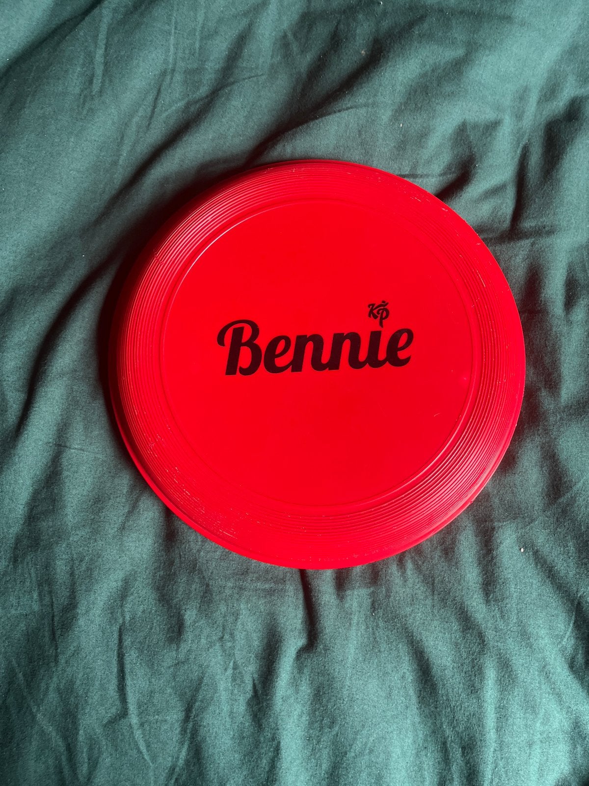 Bennie Enzo Knol frisbee met handtekeningen, Ophalen of Verzenden, Gebruikt