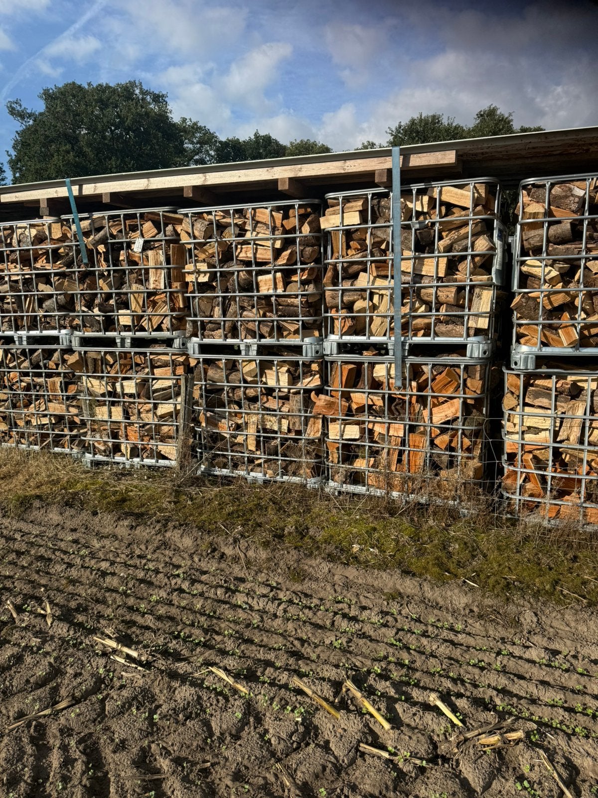 Brandhout haardhout tekoop, 6 m³ of meer, Ophalen of Verzenden
