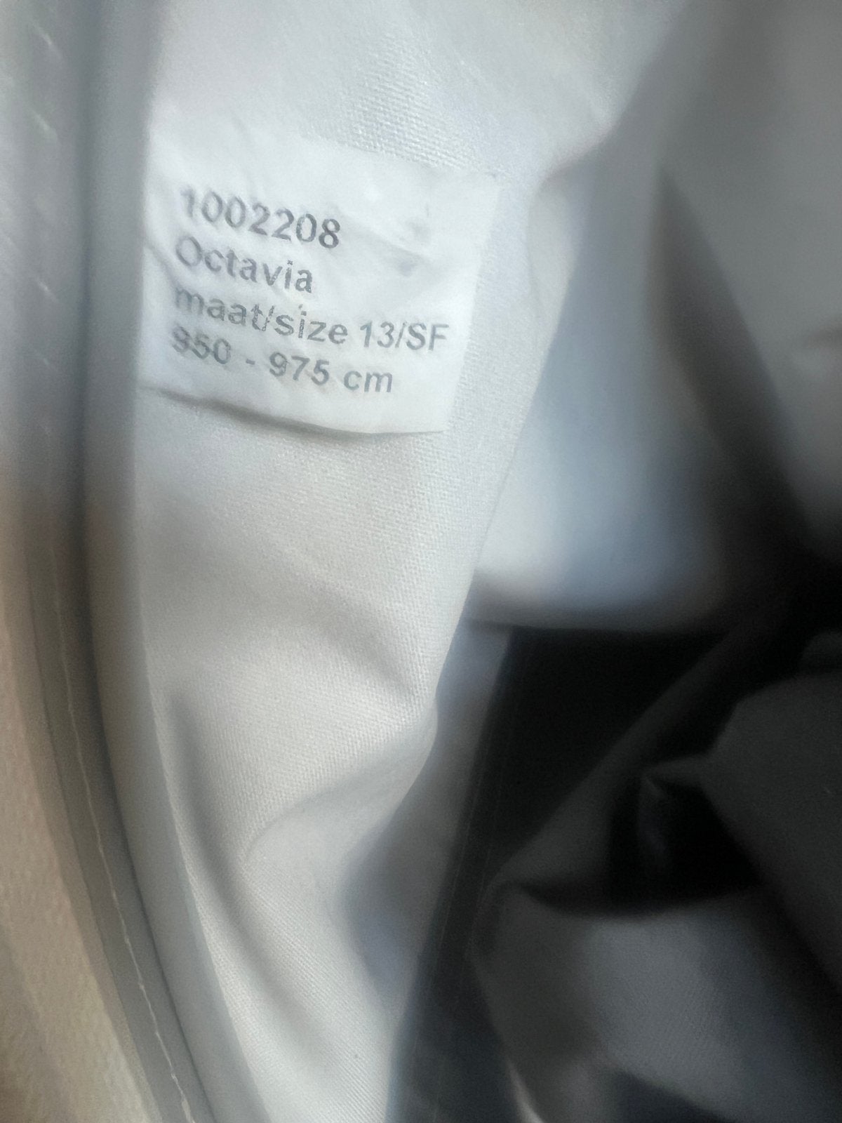 Dorema Octavia voortent maat 13/SF (950-975 cm), Ophalen, Gebruikt, Dorema
