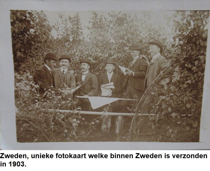1903, foto ansichtkaart, gelopen in Zweden in 1903, perfect, Verzamelen, Foto, Ophalen of Verzenden, Zo goed als nieuw, Voor 1940