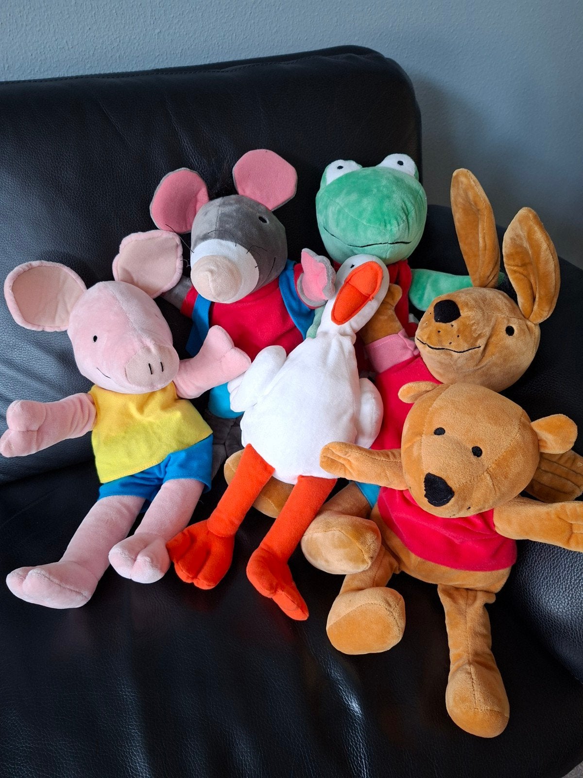 Kikker en zijn vriendjes - Complete set van 6 knuffels, Kikker, Overige karakters, Ophalen of Verzenden, Zo goed als nieuw