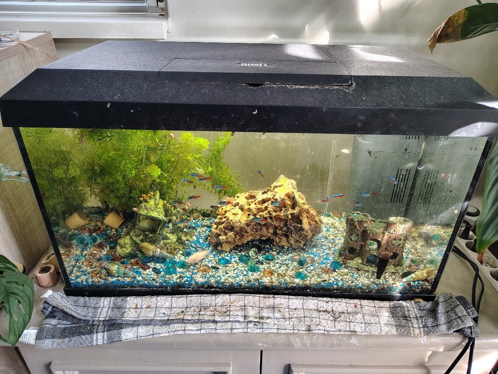 Juwel Aquarium 60, Ophalen, Verwarming, Zo goed als nieuw, Leeg aquarium