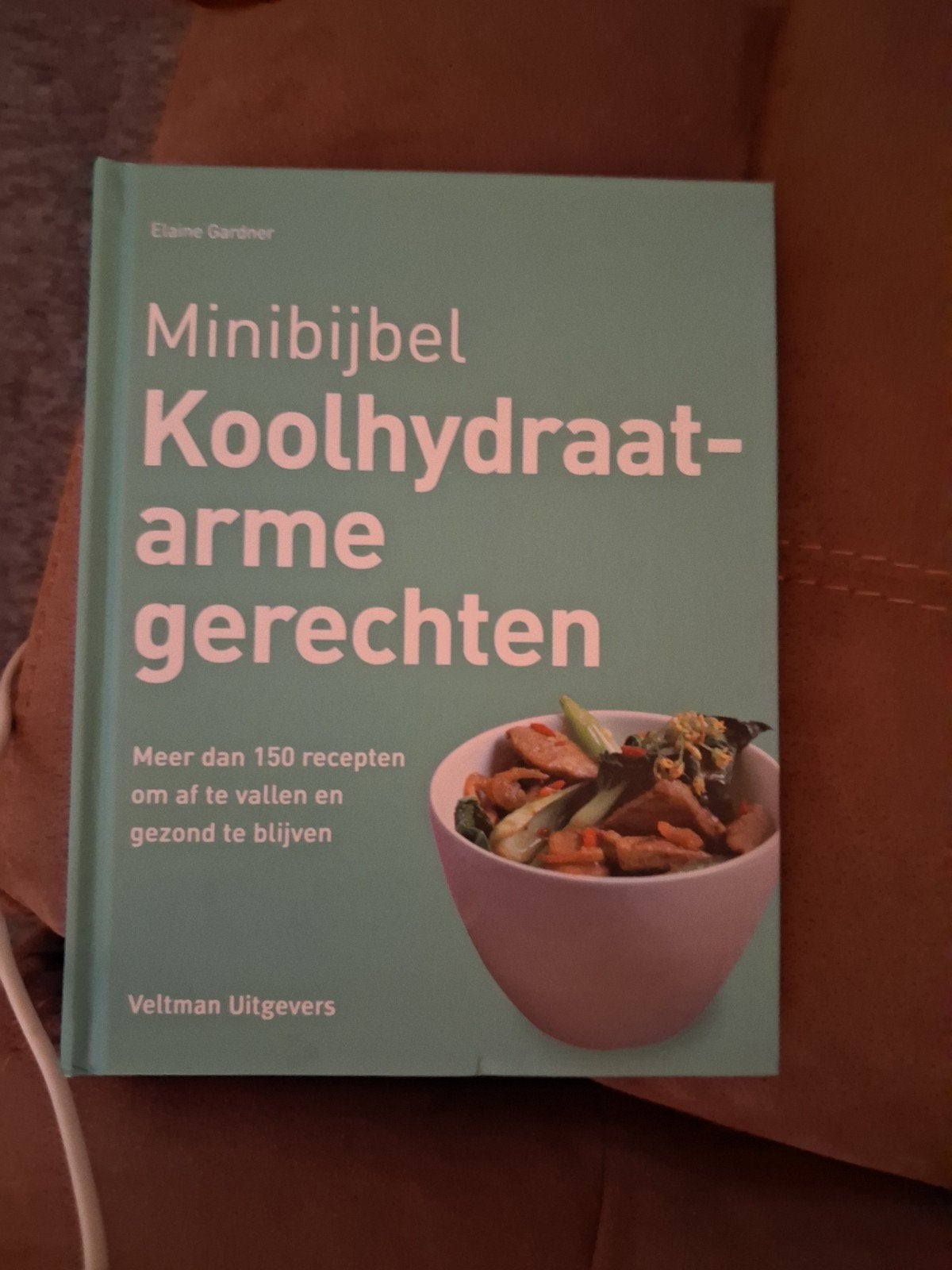 Minibijbel Koolhydraatarme Gerechten - Elaine Gardner, Boeken, Ophalen, Gezond koken, Elaine Gardner, Hoofdgerechten