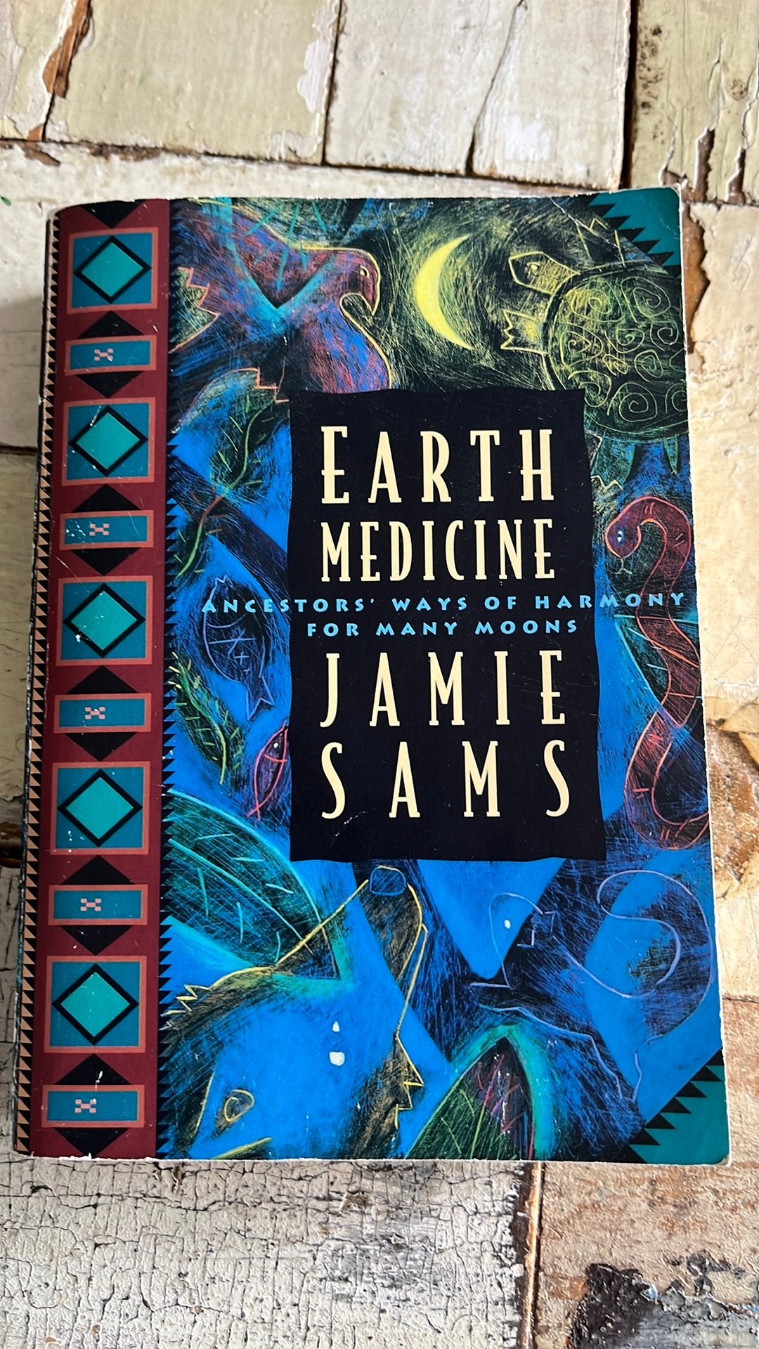 Jamie Sams - Earth Medicine, Boeken, Spiritualiteit algemeen, Jamie Sams, Overige typen, Ophalen of Verzenden