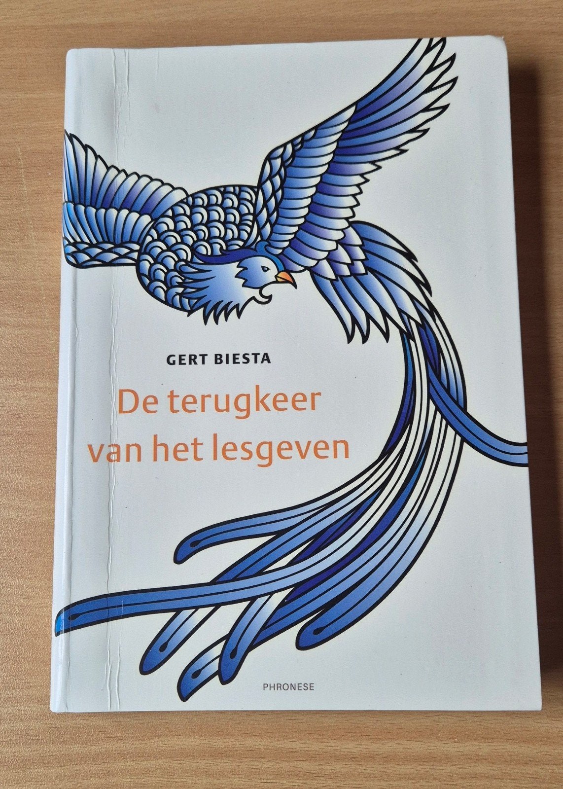 De terugkeer van het lesgeven - Gert Biesta, Gert Biesta, Zo goed als nieuw, Gamma, HBO