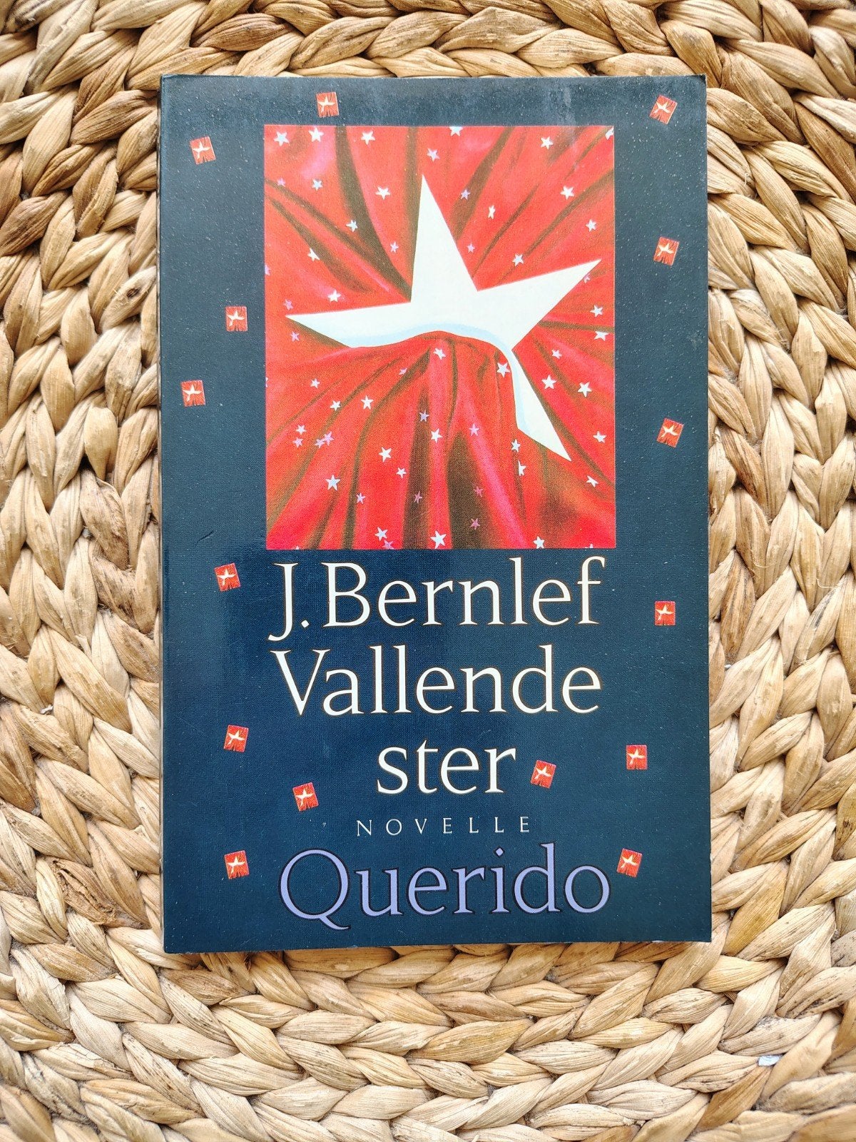 J. Bernlef - Vallende ster, Ophalen of Verzenden, Zo goed als nieuw