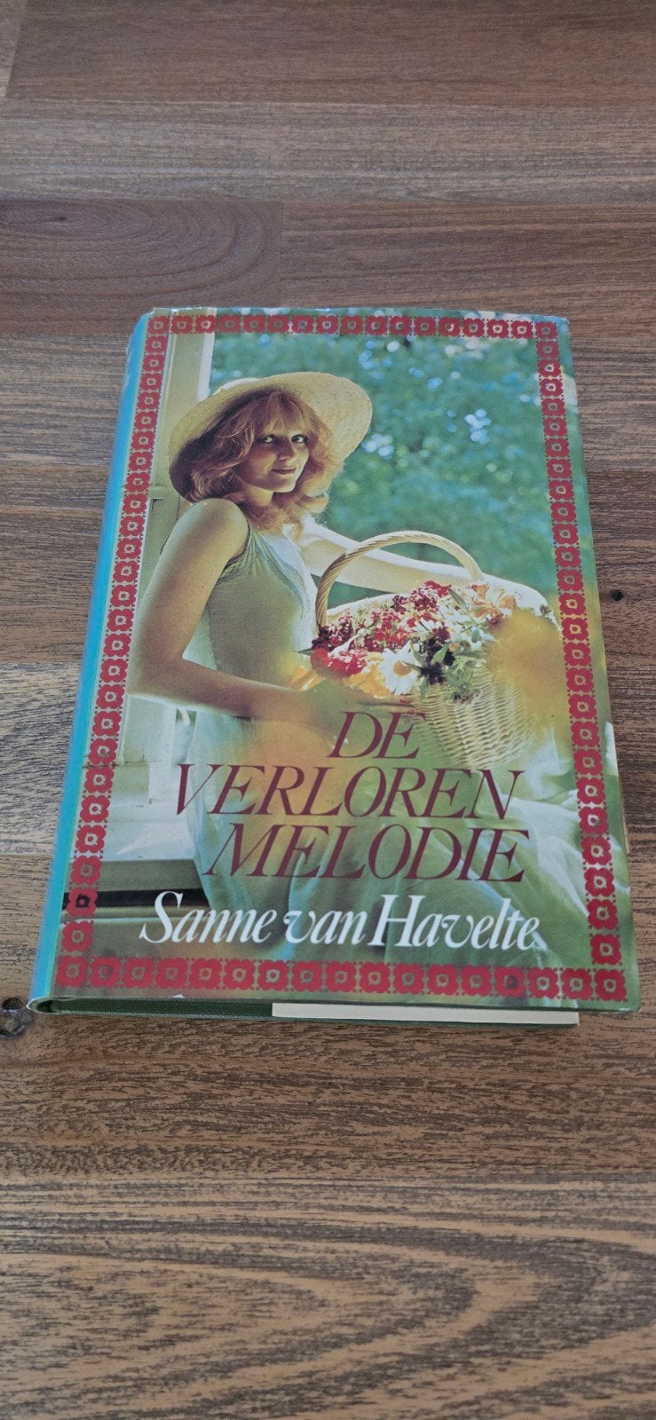 De Verloren Melodie - Sanne van Havelte (Roman), Boeken, Romans, Ophalen of Verzenden, Gelezen, Sanne van Havelte, Nederland