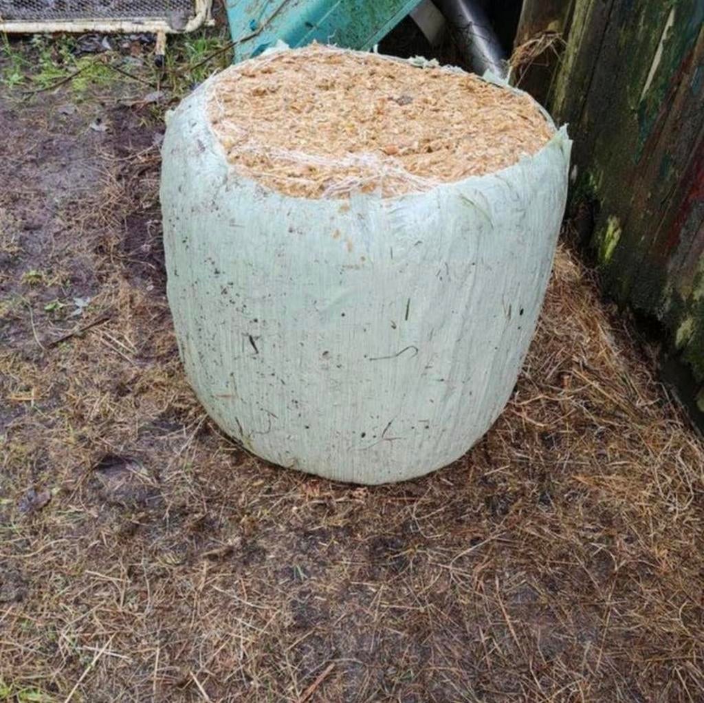 Maisbalen / MPB-Mix koe varken schaap geiten voer, Ophalen of Verzenden
