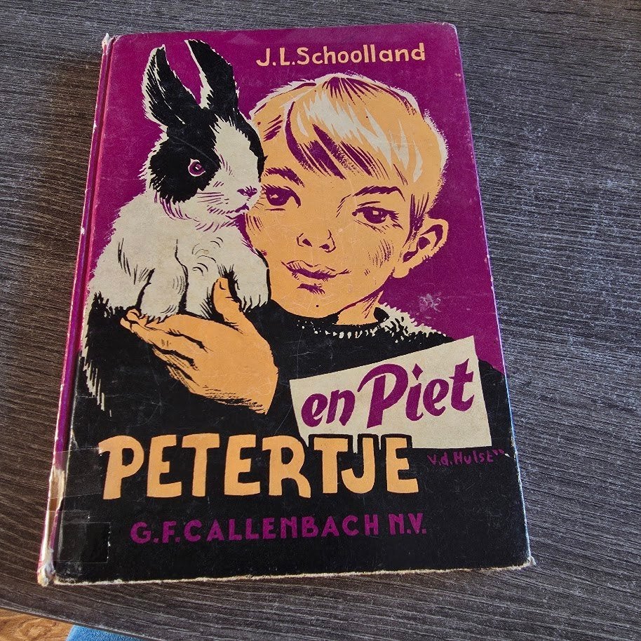 Petertje en Piet - J.L. Schoolland (1962), Boeken, Gelezen, 5 of 6 jaar, Fictie algemeen, Jongen of Meisje