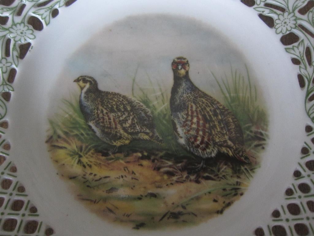 bord Bavaria schumann Arzberg  wild fazant kwartel, Ophalen of Verzenden, Zo goed als nieuw, Bord(en), Overige stijlen