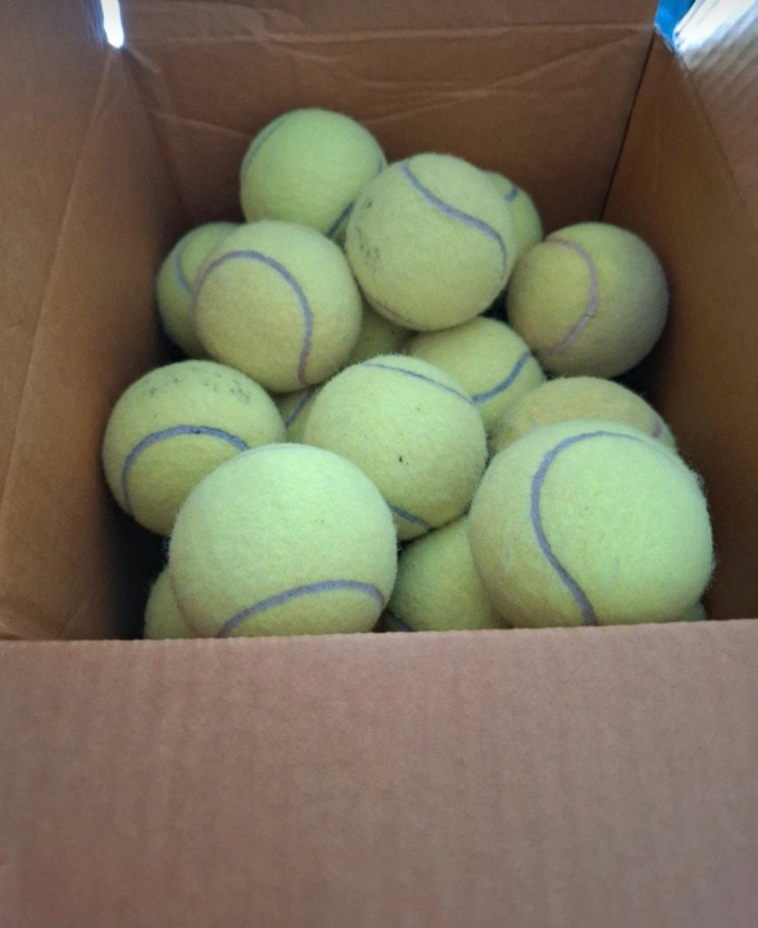 Partij gebruikte tennisballen 100 stuks, Sport en Fitness, Gebruikt, Ballen, L00, Ophalen