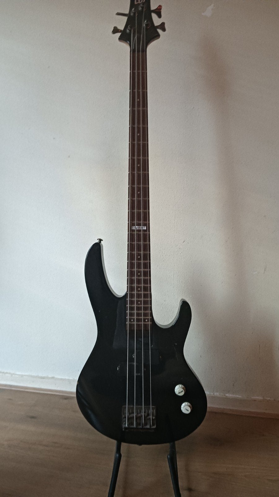 LTD basgitaar, nieuwe snaren., Muziek en Instrumenten, Ophalen of Verzenden