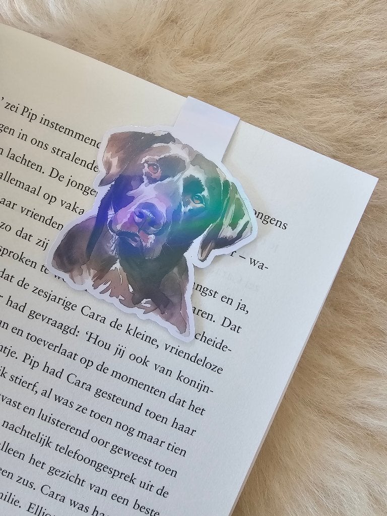 Magnetische boekenlegger labrador chocolade bruin regenboog, Ophalen of Verzenden, Nieuw, Overige onderwerpen