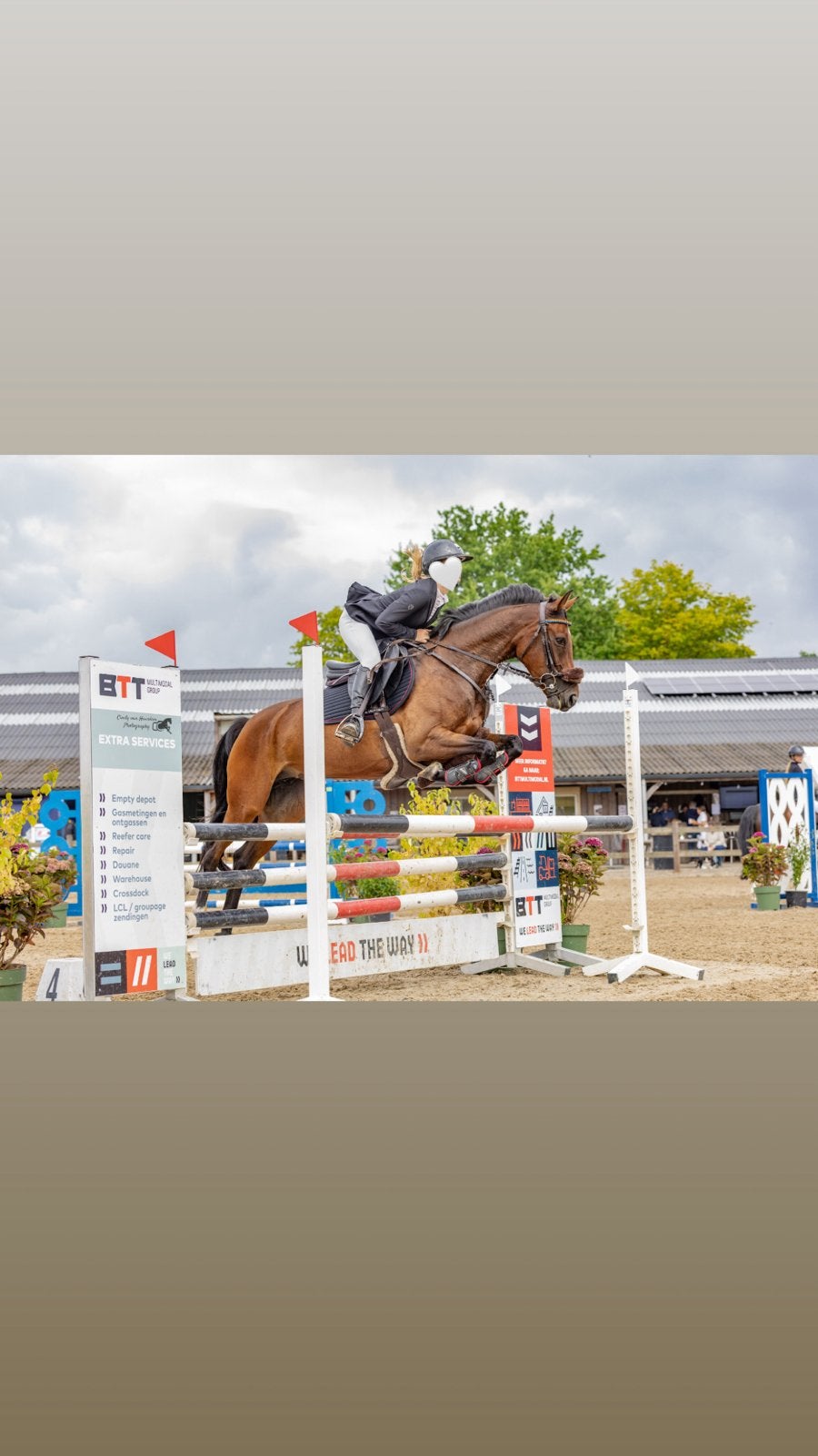 5-jarige D-pony merrie – 1.00 m, Dieren en Toebehoren, Merrie, Met stamboom, M, Springpony