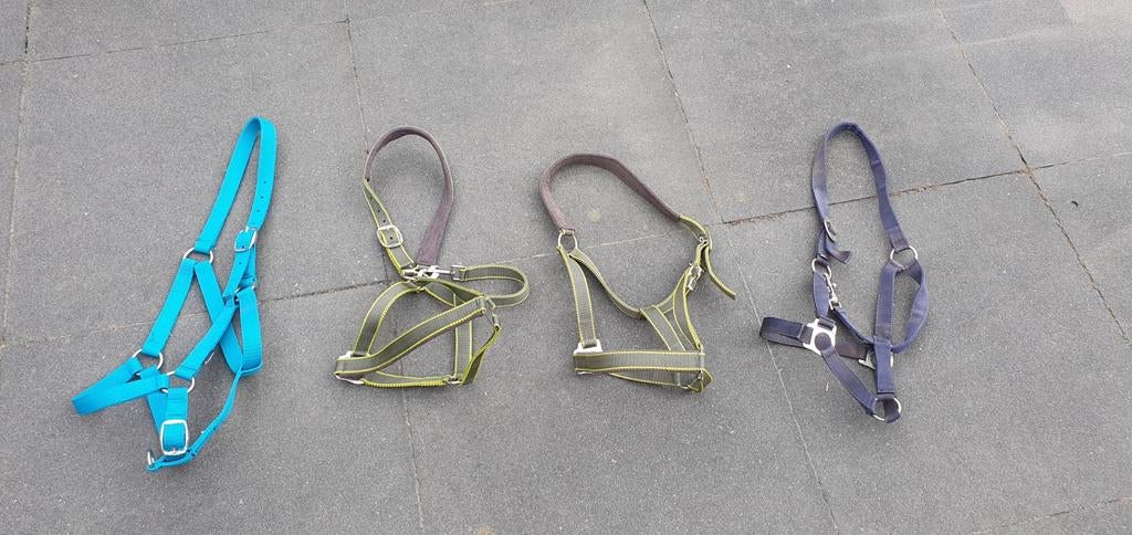 Halsters maat full, Ophalen, Zo goed als nieuw, Overige soorten