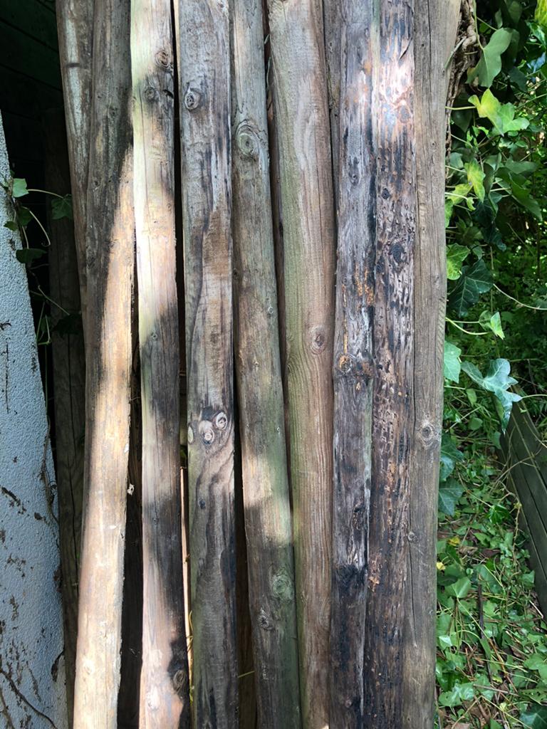Weide Creo palen >20 stuks (250 cm en 180cm), Tuin en Terras, Ophalen, Gebruikt, 180 tot 250 cm, Palen