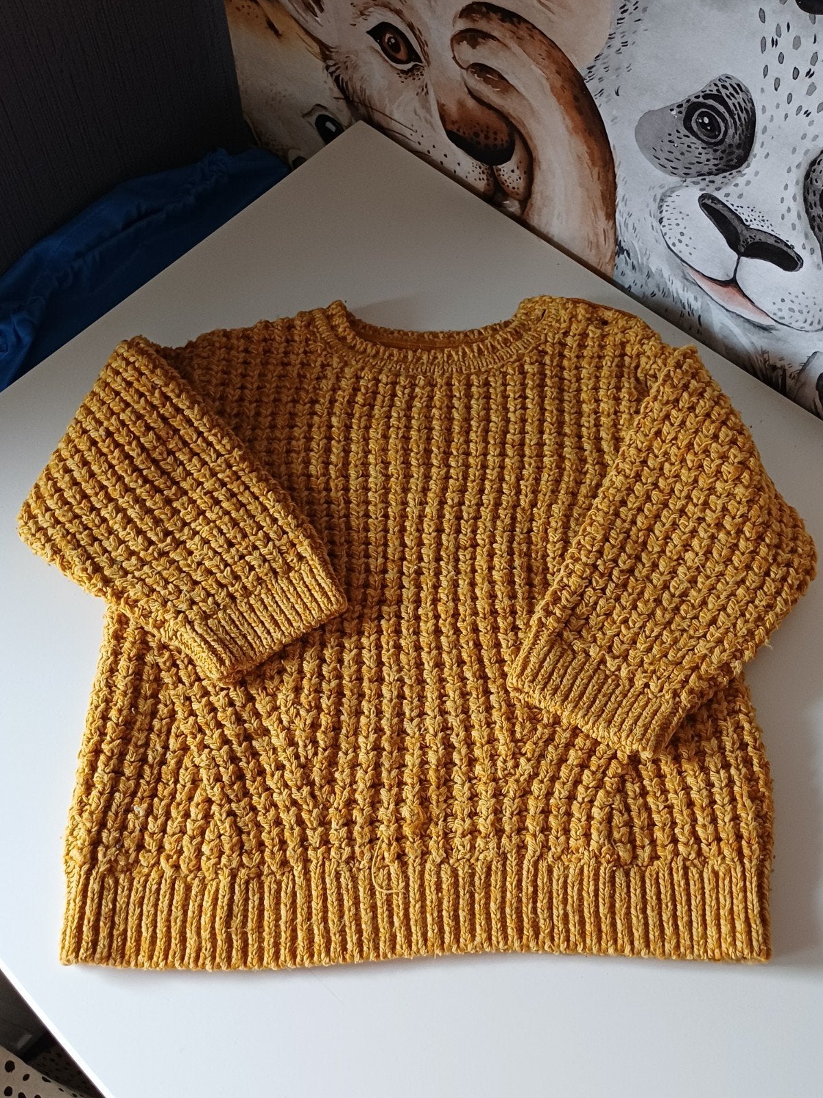 Trui Zara maat 86, Kinderen en Baby's, Gebruikt, Ophalen of Verzenden, Zara, Truitje of Vestje