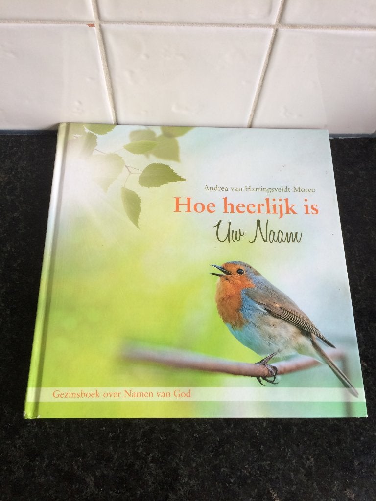 Andrea van Hartingsveldt Hoe heerlijk is Uw Naam, Ophalen of Verzenden, Zo goed als nieuw, Andrea van Hartingsveldt, Christendom | Protestants